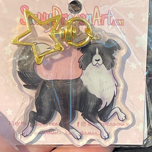 Border Collie