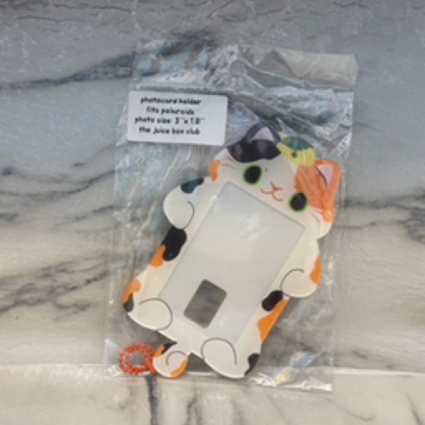 Calico Cat PhotoCard TJBC