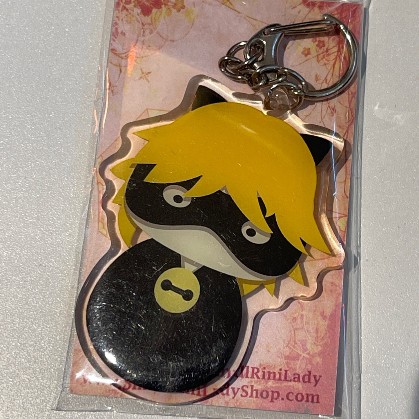 Miraculous Ladybug, Chat Noir