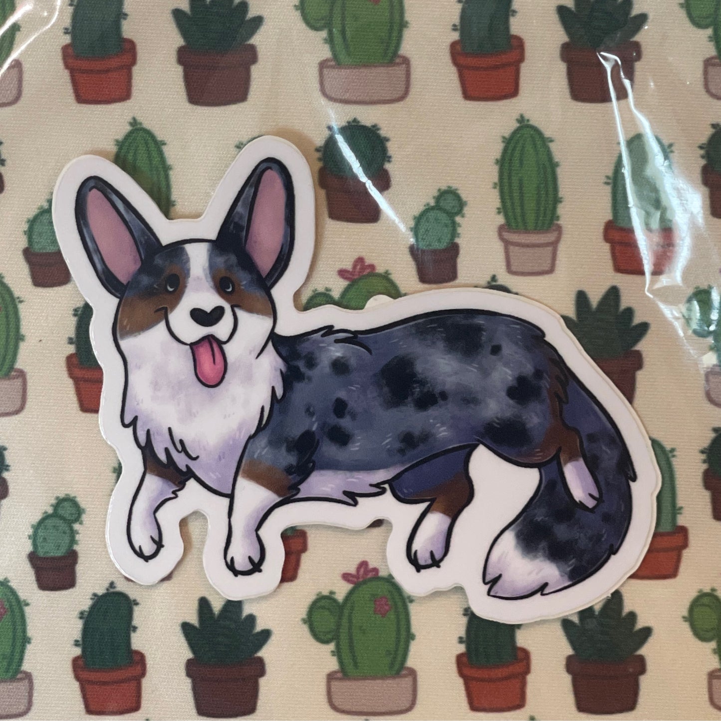 Cardigan Corgi Merle