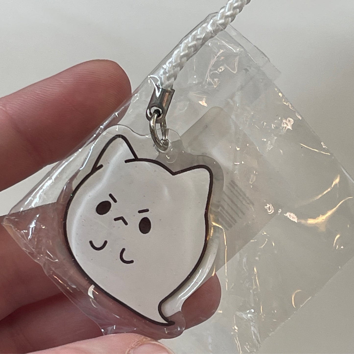 Cat Ghost