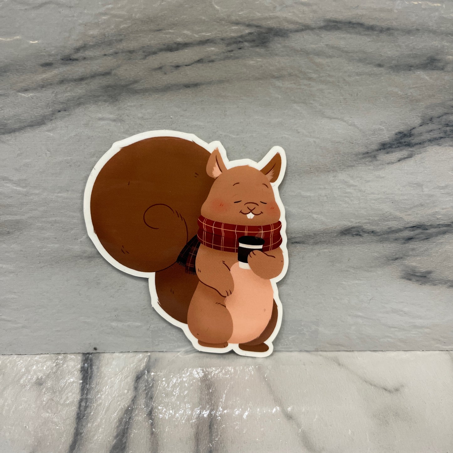 Cozy Squirrel sticker