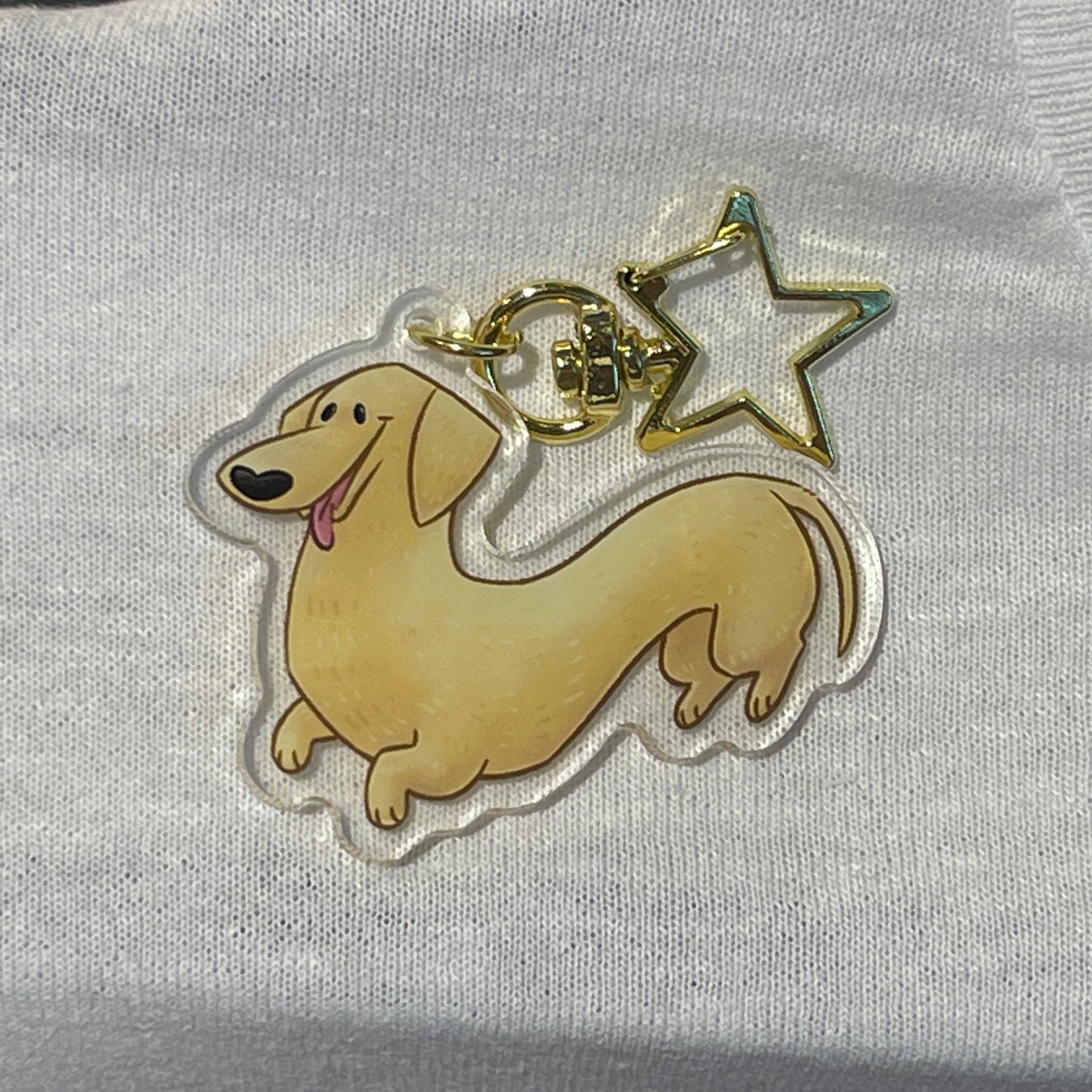Dachshund - Cream