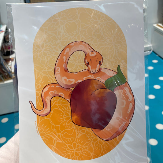 Ball Python Peach Print
