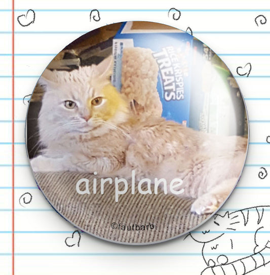 Airplane Button