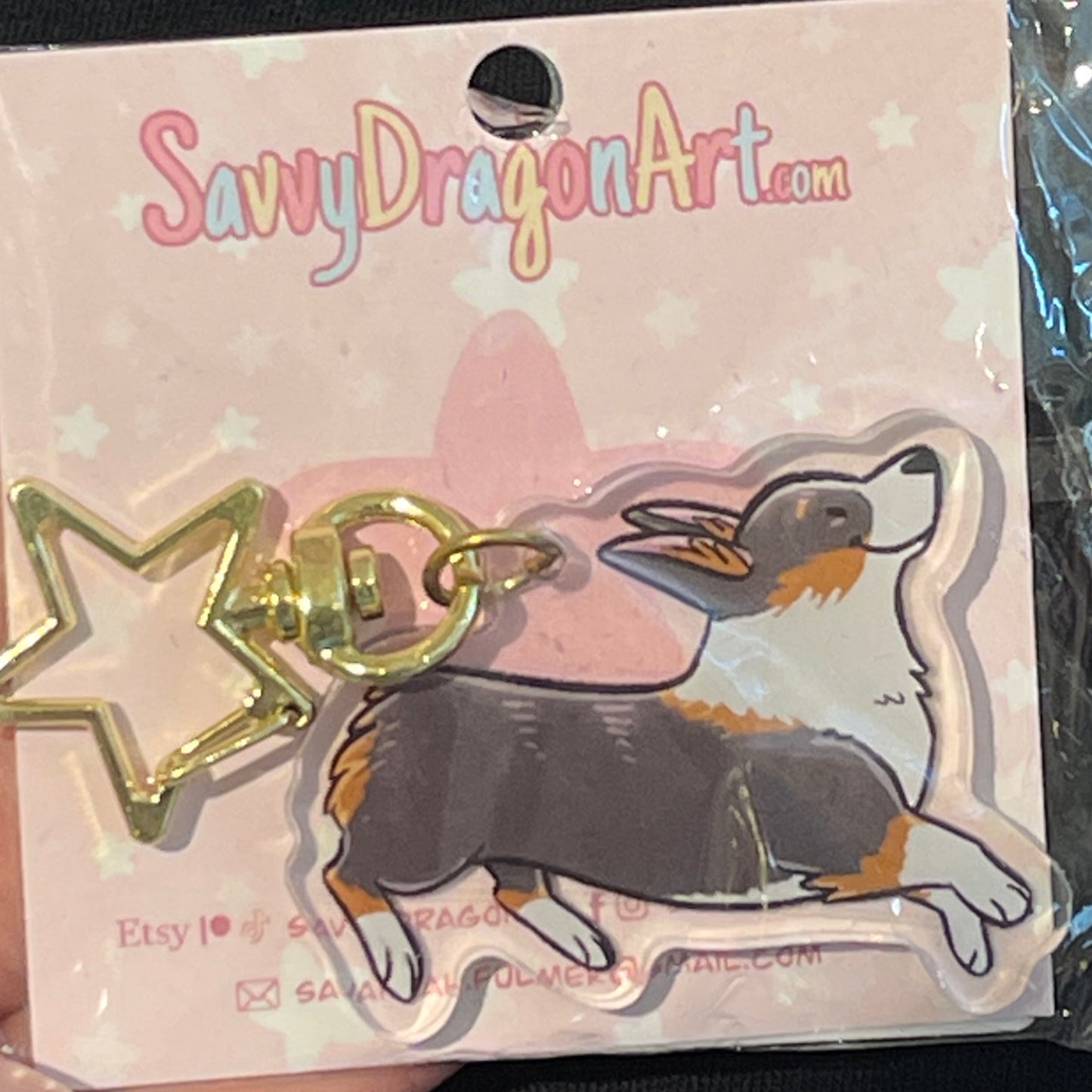 Corgi - Black Head Tricolor (no tail)