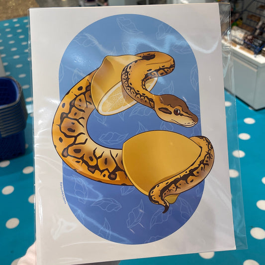 Ball Python Lemon Print