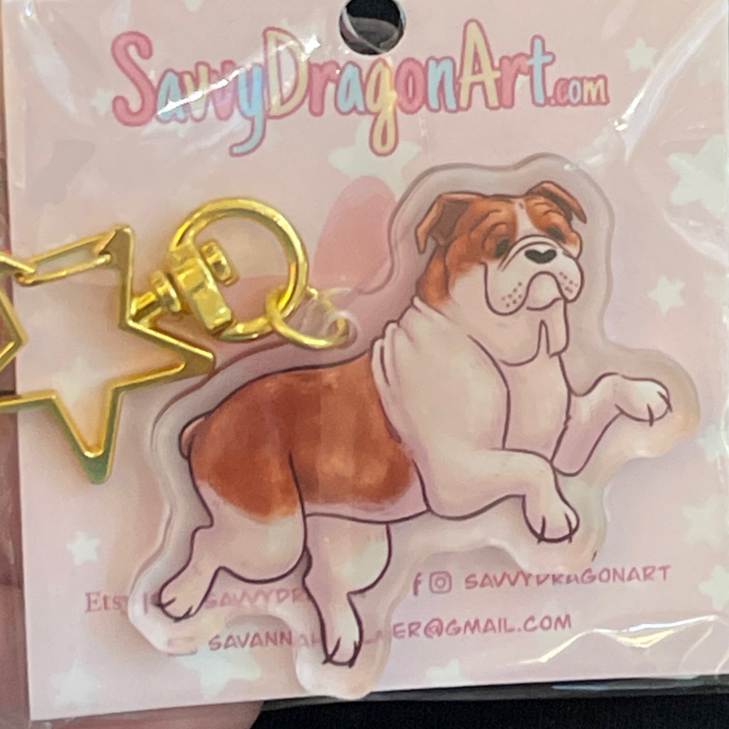 English Bulldog