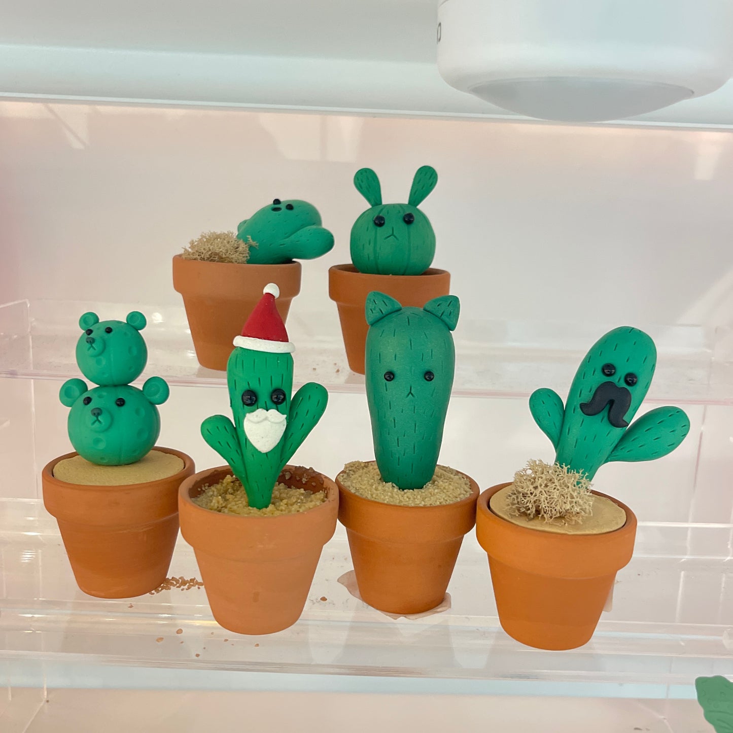 Potted Pal