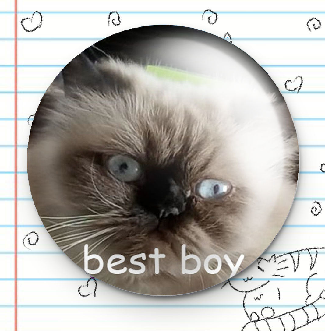 Best Boy Button