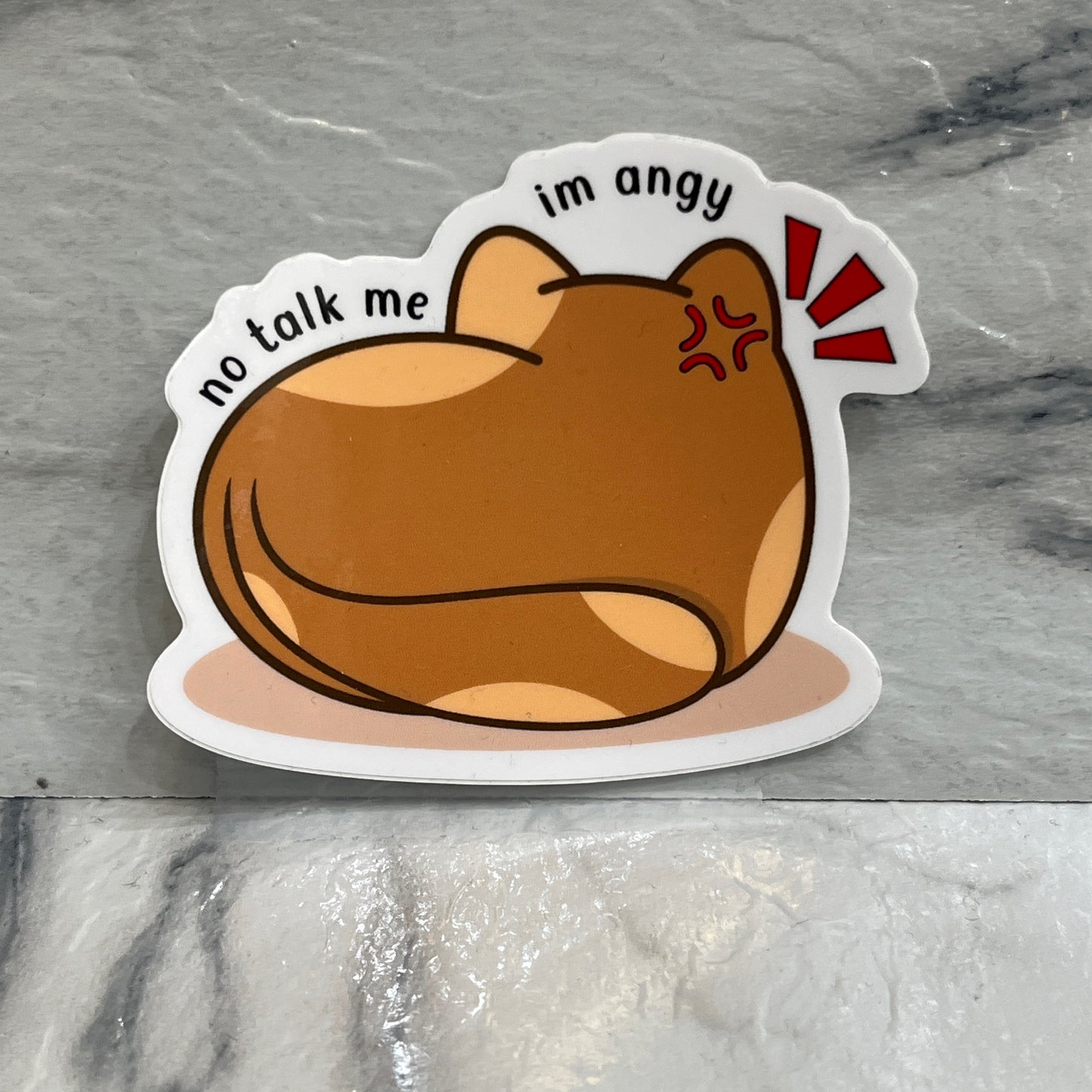 No Talk Me I'm Angy Brown Cat