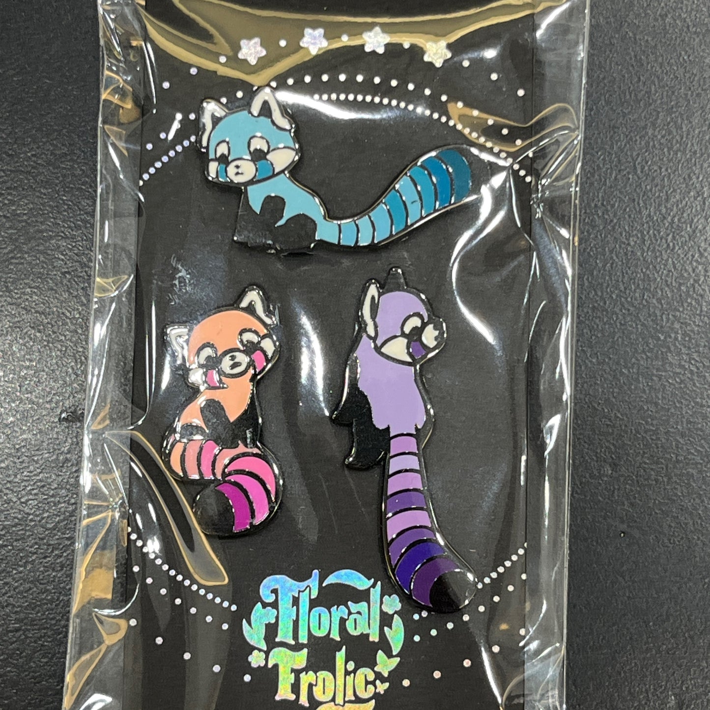 Pin Set Raccoons Rainbow