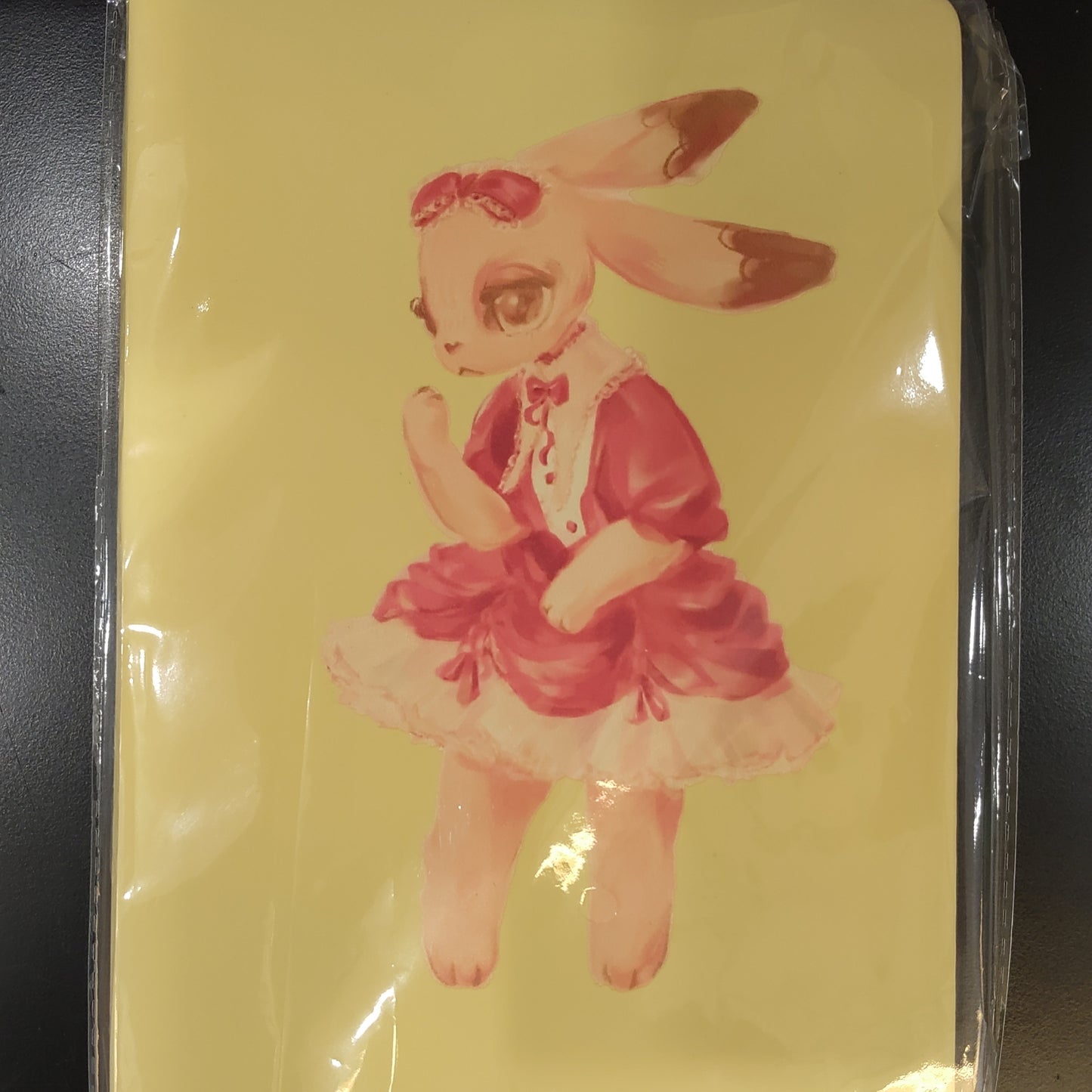 Bunny Notebook