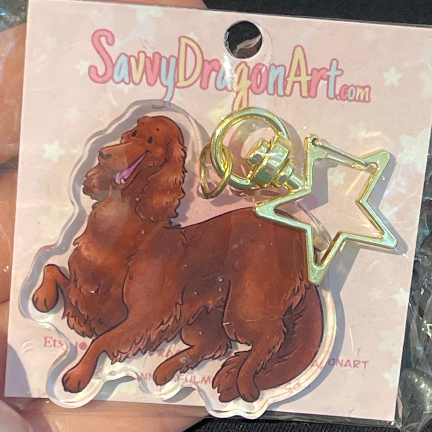 Irish Setter