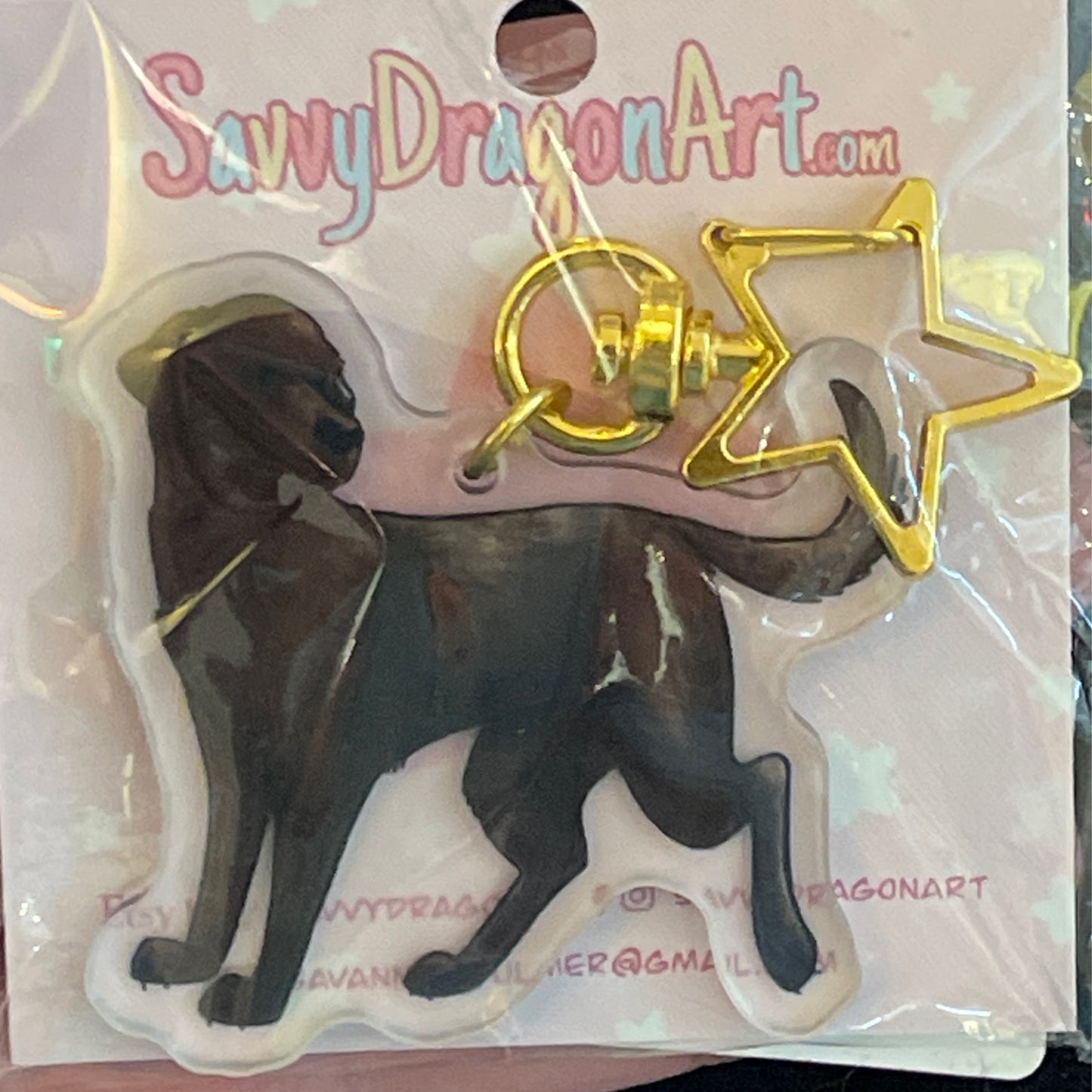 Labrador - chocolate