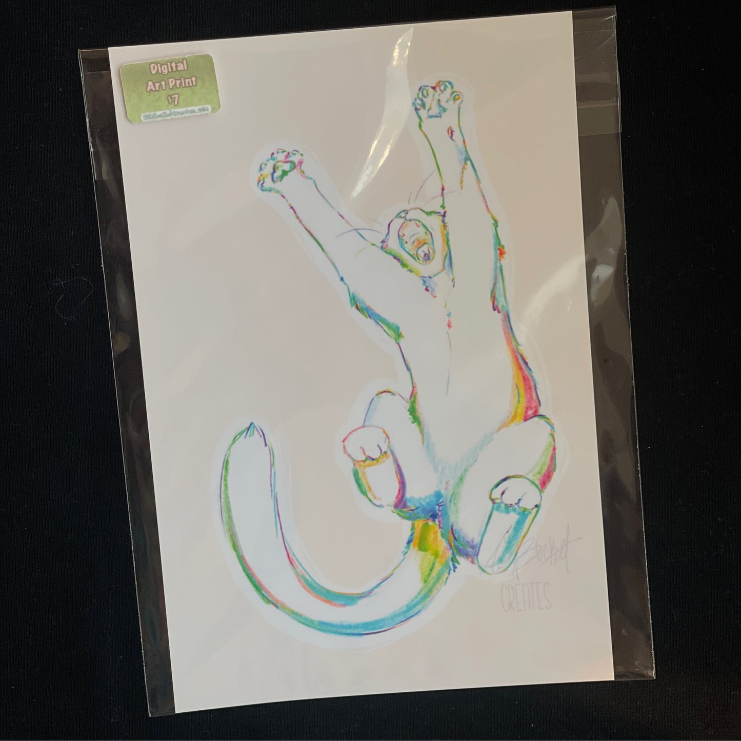 Cat Stetching Print