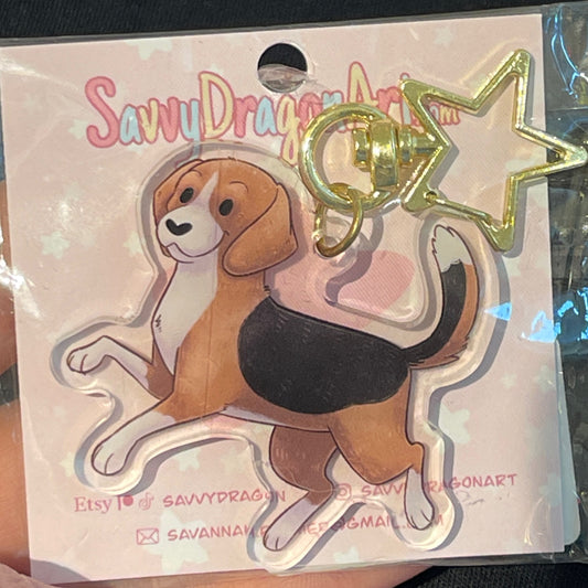 Beagle