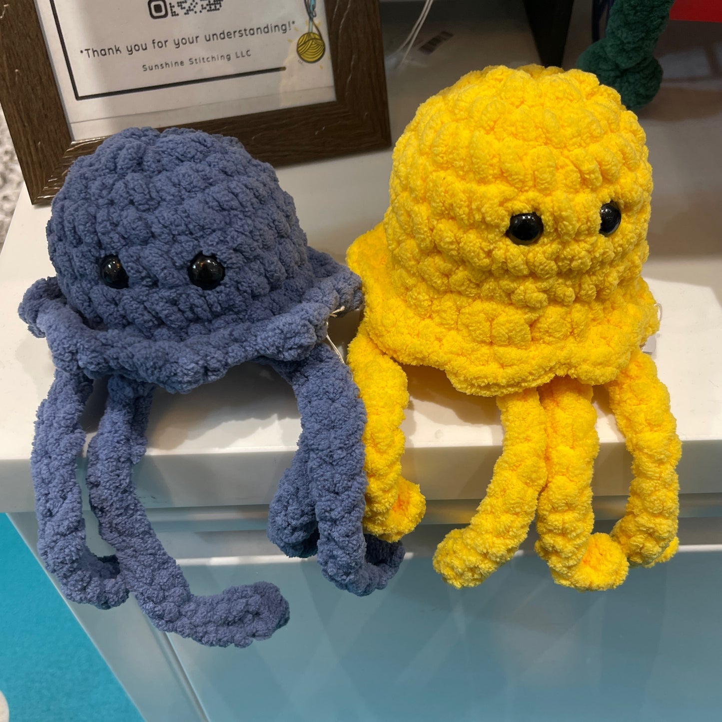 Jellyfish