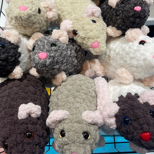Rat