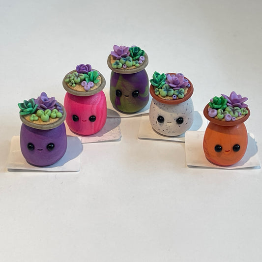 Silly Succulent Friend