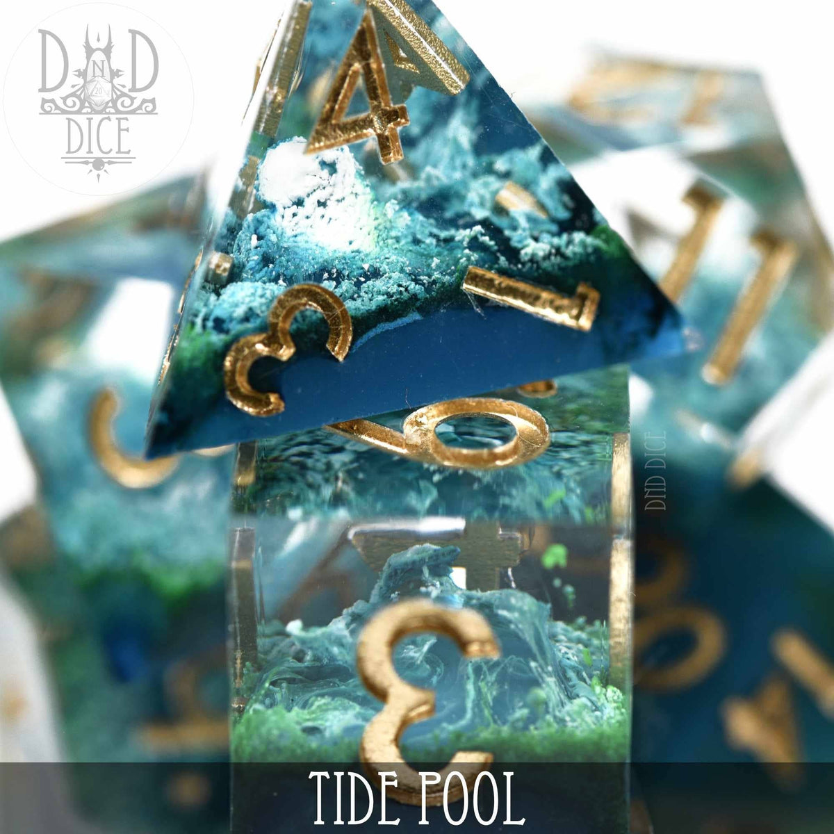 Tide Pool Dice
