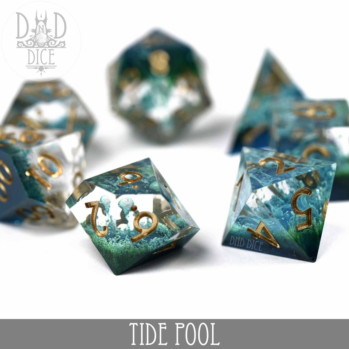 Tide Pool Dice