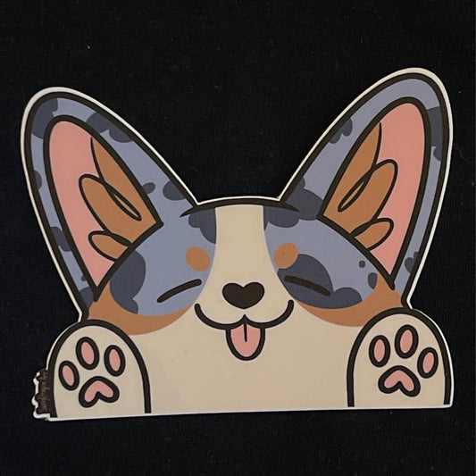 Corgi Peekers - Blue Merle