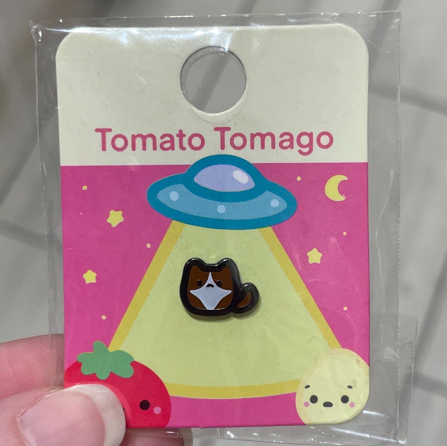 Tidbit Cat Ragdoll Mini Pin