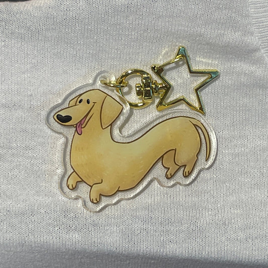 Dachshund - Cream
