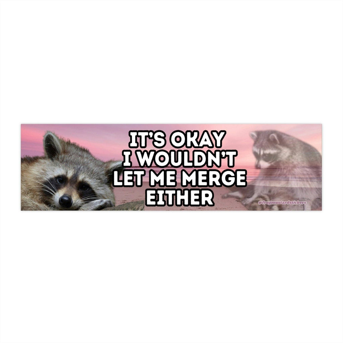 It’s Okay, I Wouldn’t Let Me Merge Either Bumper Sticker