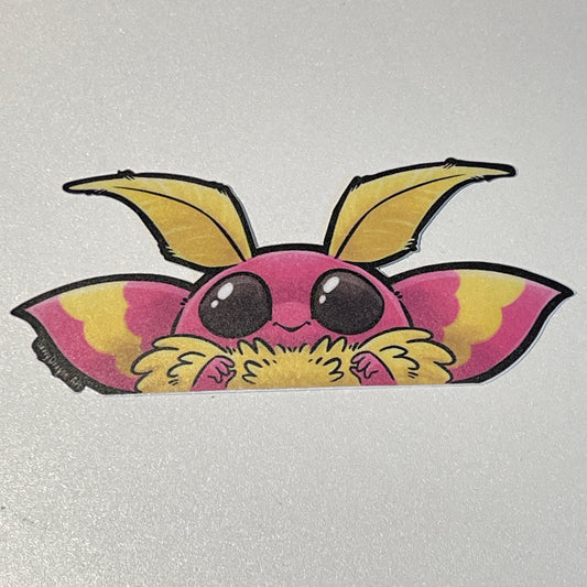 Rosy Maple Moth Peeker Sticker