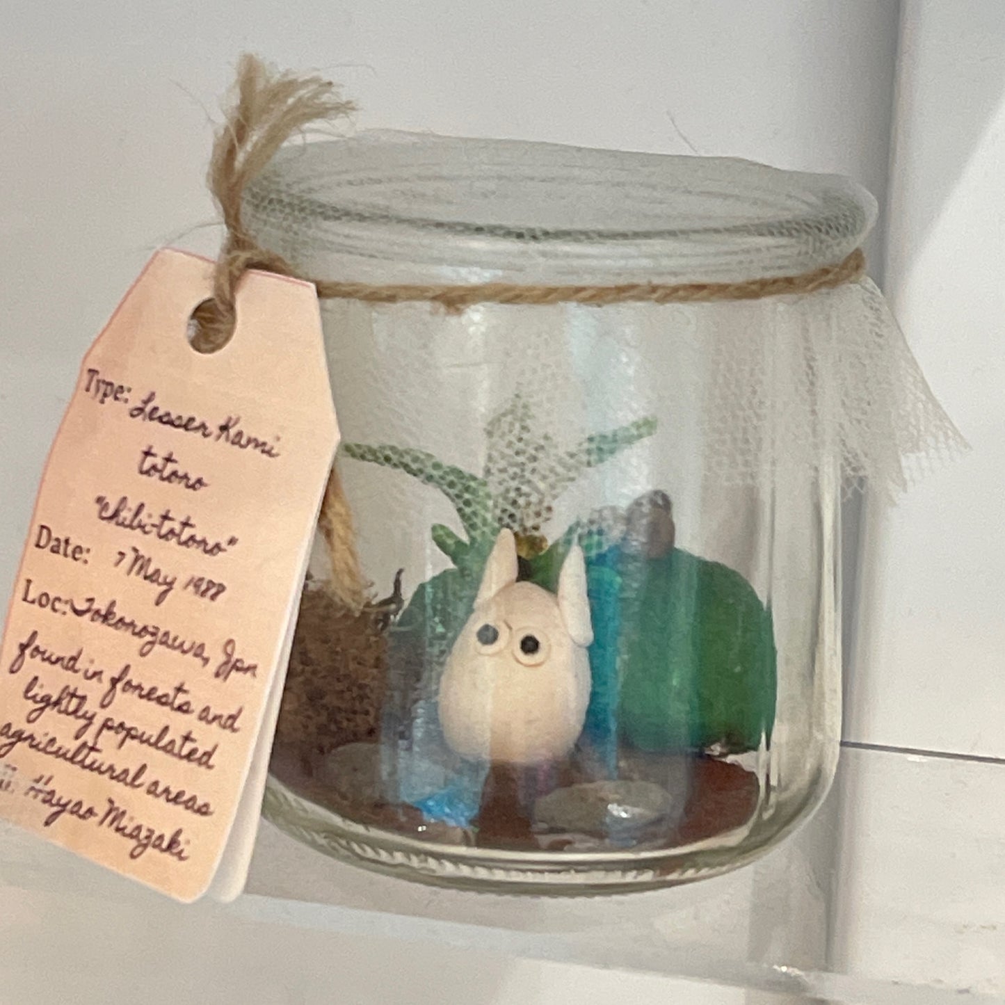 Chibi Totoro Specimen Jar