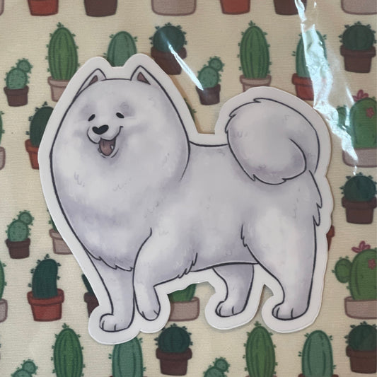 Samoyed