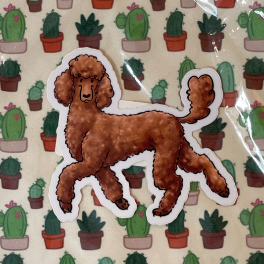 Poodle - Brown