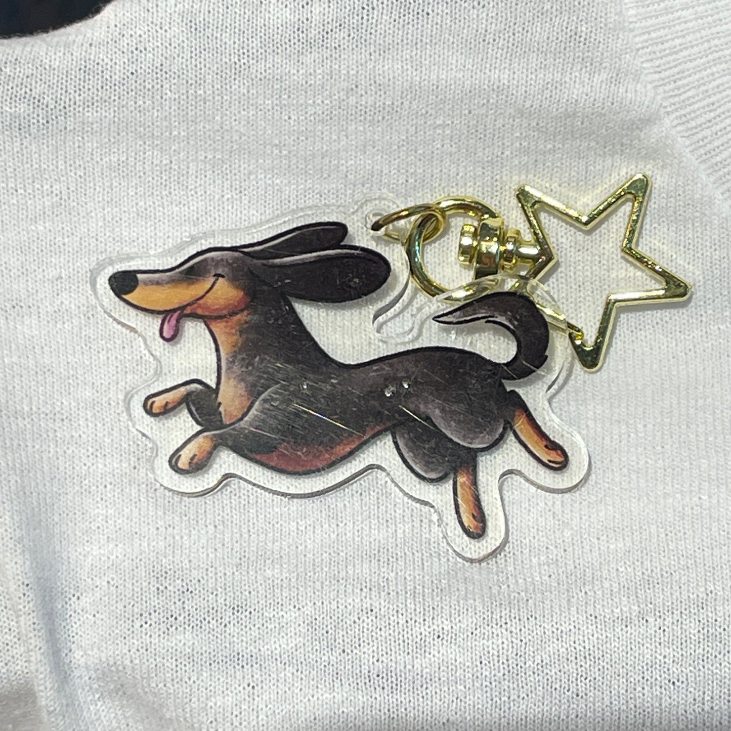 Dachshund - black/tan