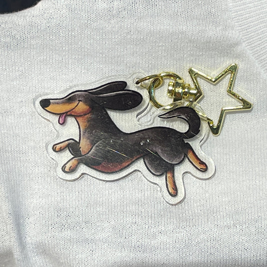 Dachshund - black/tan