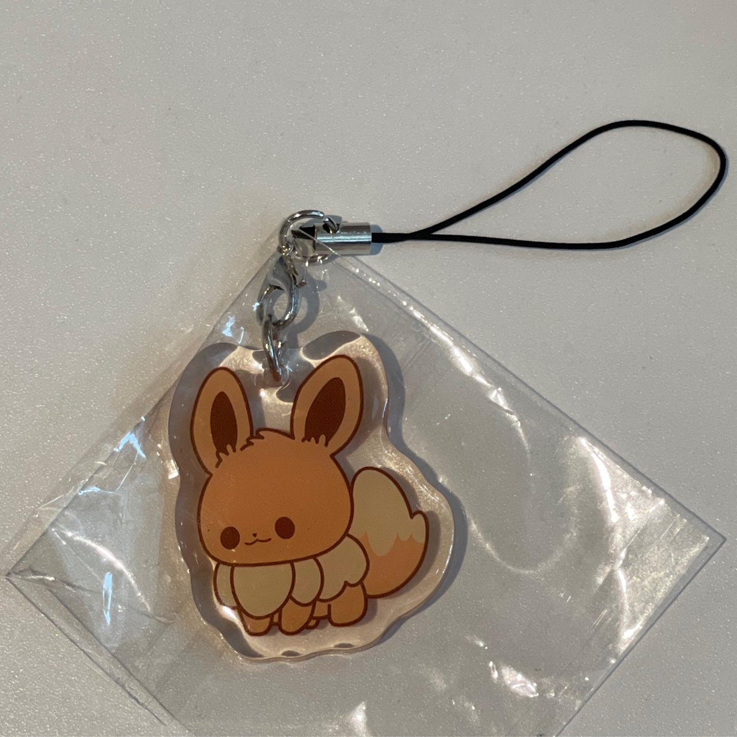 Eevee Charm
