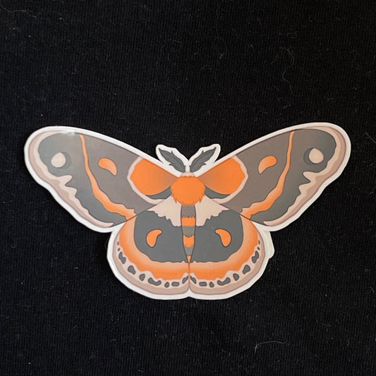 Moth Sticker