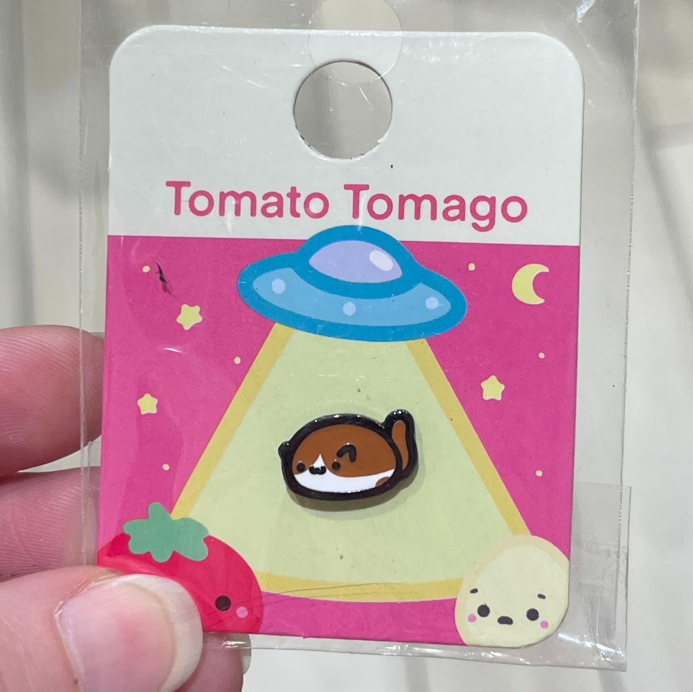 Mochi Cat Ragdoll Mini Pin