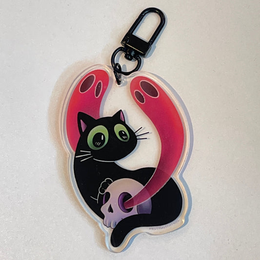 Black Cat & Haunted Skull