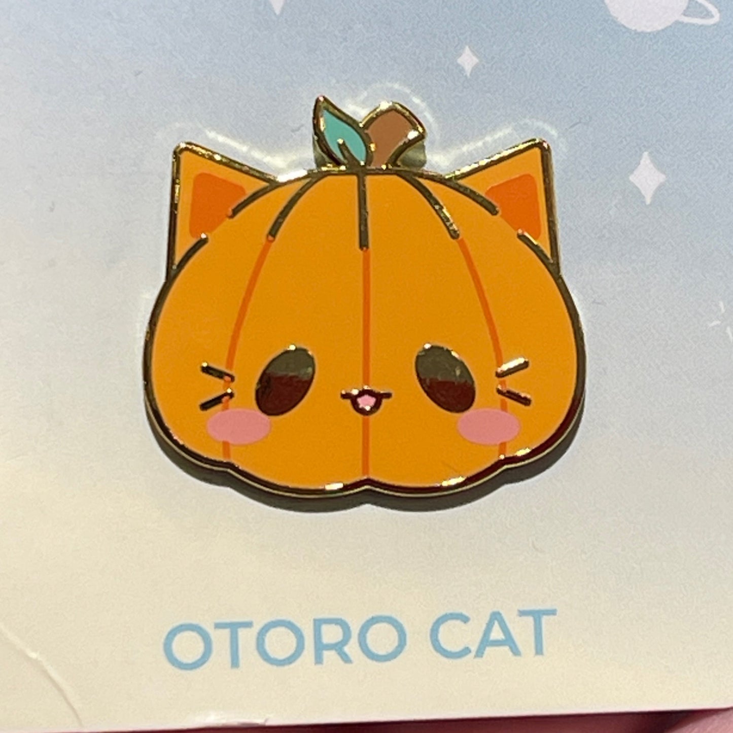Cat Pumpkin Enamel Pin