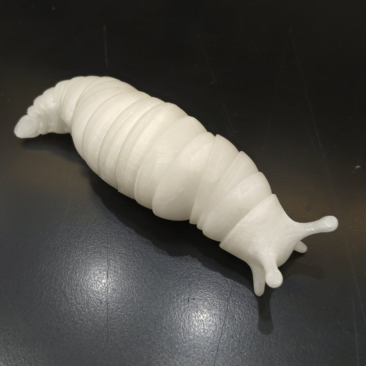 Slug Fidget Buddy