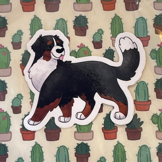 Bernese Mountain Dog