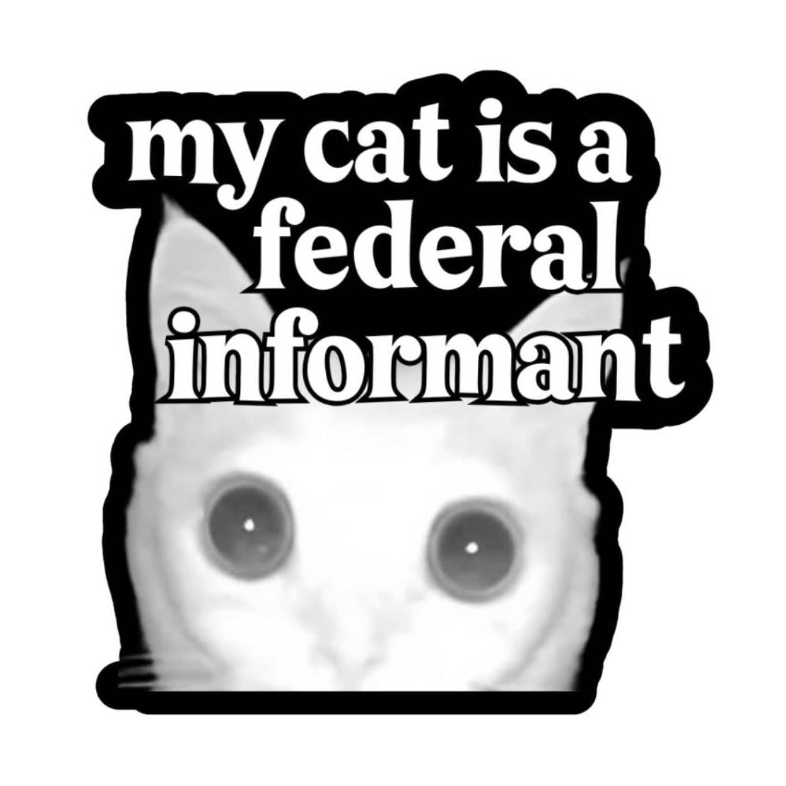 My Cat is a Federal Informant Sticker