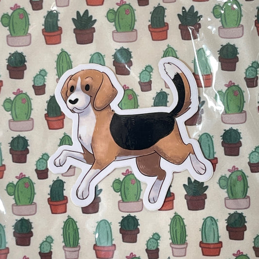 Beagle