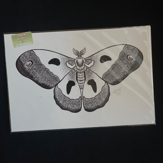 Moth Print